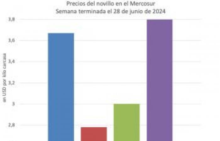 changements minimes dans le Mercosur et nouveau record aux États-Unis – Valor Carne