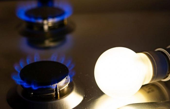 Le gouvernement a décidé qu’il n’y aurait pas d’augmentation des tarifs de l’électricité et du gaz en juillet