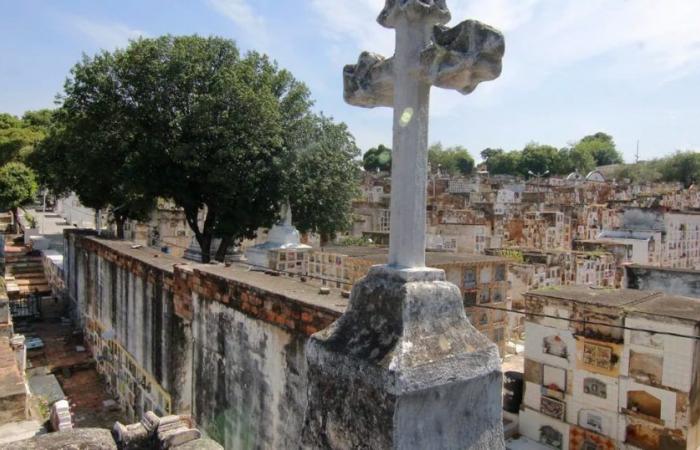Le cimetière de Cúcuta est une fosse commune de cadavres, il y a des ossements dans les murs et les plafonds