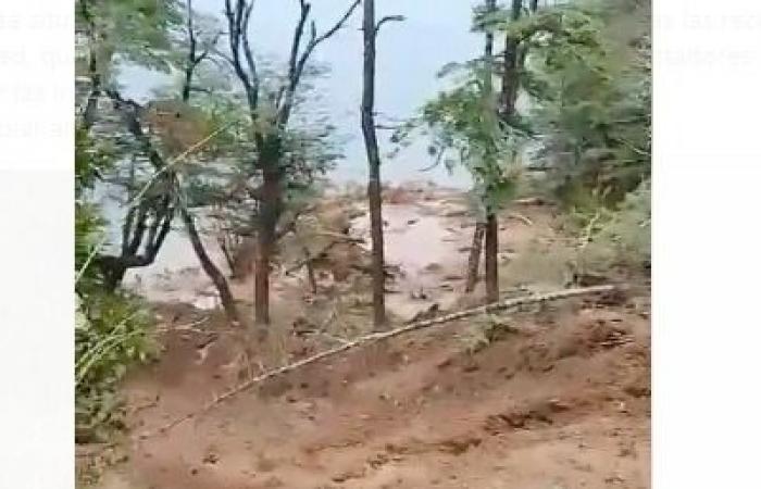 Vidéo | Glissement de terrain sur la route 48, près de San Martín de los Andes : ils demandent une « extrême prudence »