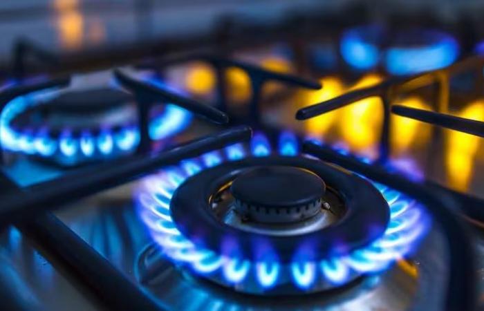 Le gouvernement gèle les tarifs du gaz et de l’électricité pour éviter leur impact sur l’inflation