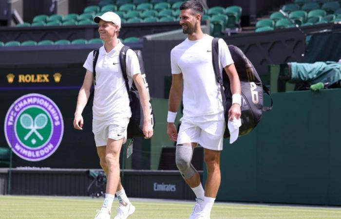 Djokovic et Sinner se sont affrontés à Wimbledon