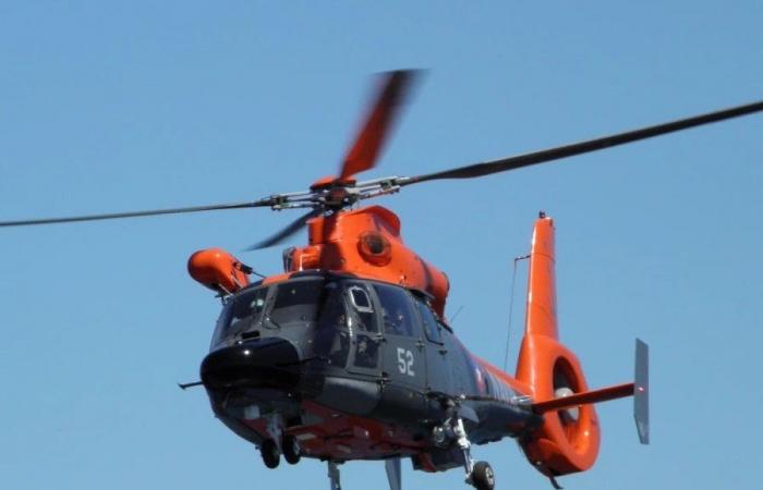 La Marine chilienne étudie l’acquisition de huit hélicoptères pour remplacer le Dauphin