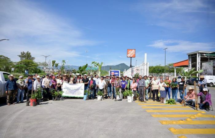 Les agriculteurs du programme « Sembrando Vida » reboisent le boulevard « Traités de Cordoue »