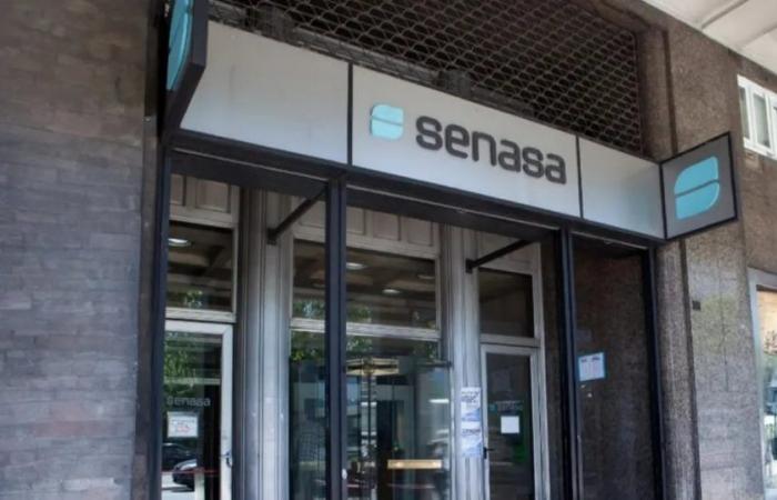 Senasa ferme six bureaux à Cordoue et délocalise ses services