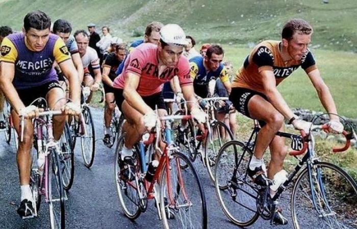 Le Conseil provincial publie un livre qui raconte l’histoire de l’équipe cycliste Ferrys née à Canals