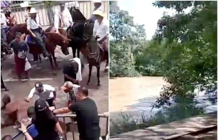 Indignation suite à un cheval évanoui et un autre flottant dans une rivière pendant les festivités de San Pedro à Huila