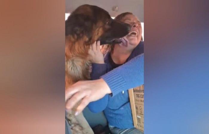 Le cri émouvant d’une voisine qui a retrouvé ses chiens : ils lui avaient été vendus