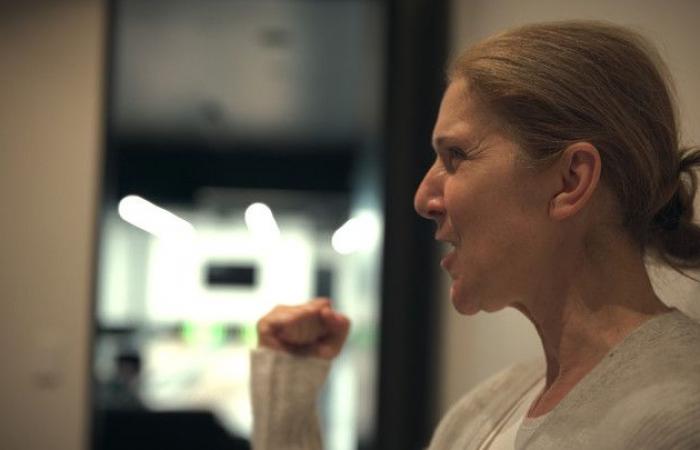 À quoi ressemble le documentaire déchirant I Am Céline Dion, créé en streaming : où le regarder