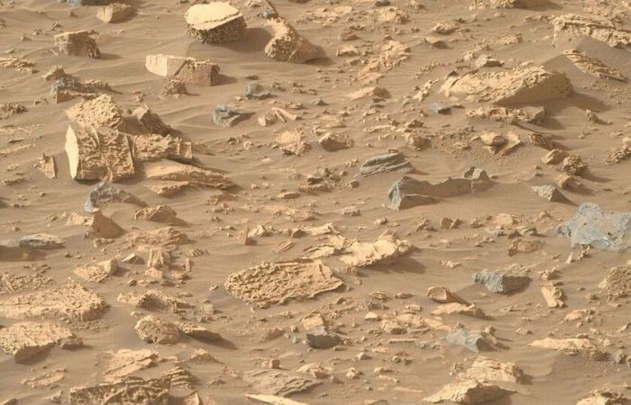 De toutes les découvertes de Perseverance dans le sol rocheux de Mars, celle-ci ne figurait pas sur la liste : du « pop-corn »