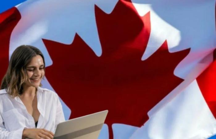 Canada CHERCHE des étrangers pour TRAVAILLER : ils donnent résidence