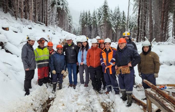Ils apprécient le travail acharné des responsables de la Conaf pour la livraison du bois de chauffage à Aysén