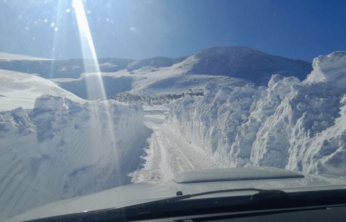 Neuquén sous la neige: comment les routes de la province se poursuivent en ce début de week-end