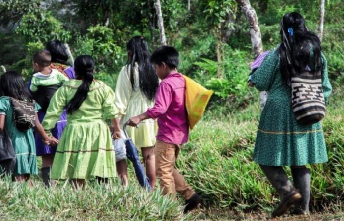 Plainte: des dissidents ont enlevé un jeune indigène à Cauca