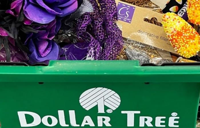 Dollar Tree : 5 conseils à garder à l’esprit lors de vos achats | États-Unis | nnda nnlt | MÉLANGER