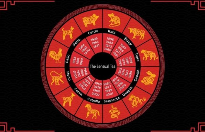 Horoscope chinois : le signe qui permettra de réaliser la croissance économique et de réaliser de nouvelles entreprises