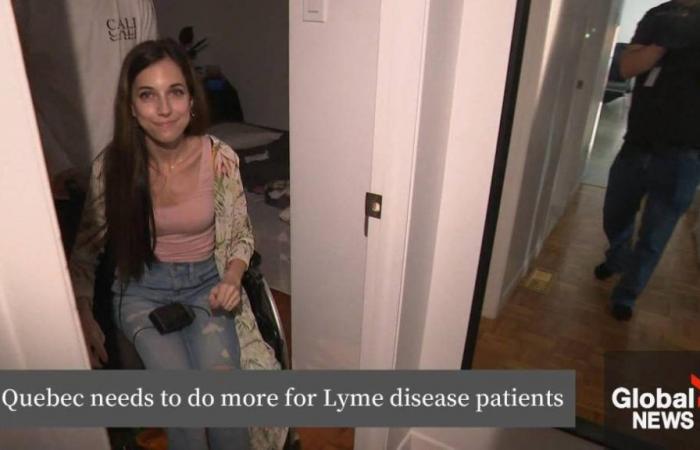 Les cas de maladie de Lyme augmentent au Québec, avec davantage de villes en zones endémiques