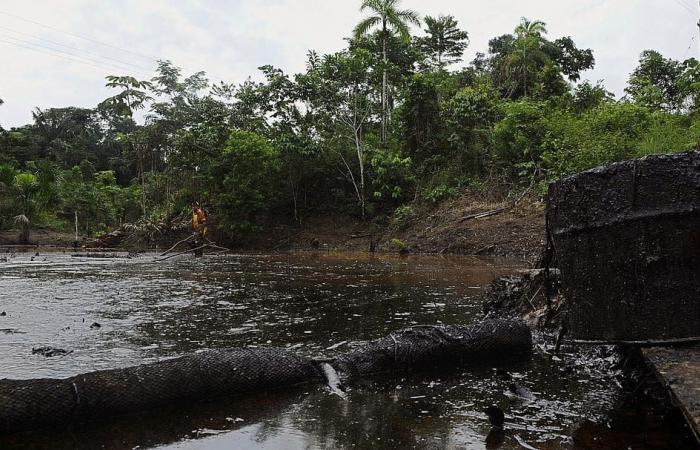 L’Équateur fait face à une marée noire qui contamine une rivière en Amazonie