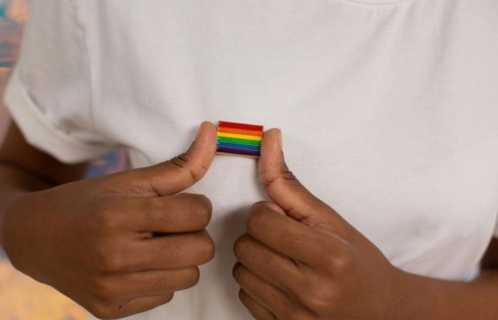 Casa de Nariño célébrera la Journée internationale de la fierté LGBTI+ avec des événements