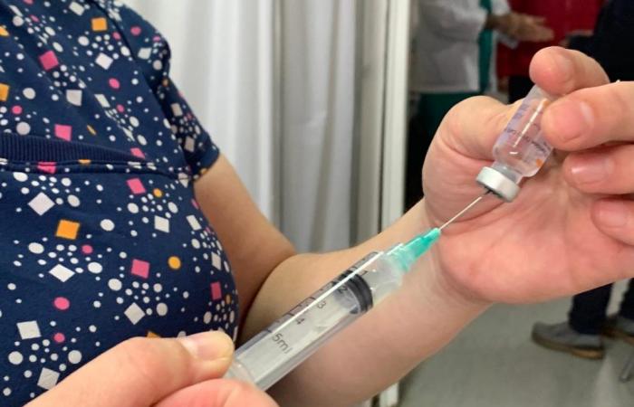 Los Ríos a atteint une couverture de 80,2% au niveau régional lors de la campagne de vaccination contre la grippe