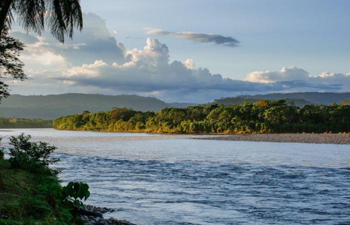 La conservation de l’Amazonie et la promotion de l’énergie solaire : l’Église montre son engagement pour le soin de la création