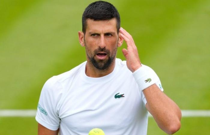 Djokovic bat Medvedev et présente ses lettres de créance à Wimbledon