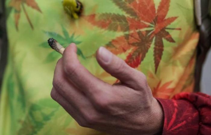 Le Brésil dépénalise la possession et la consommation de marijuana pour usage personnel