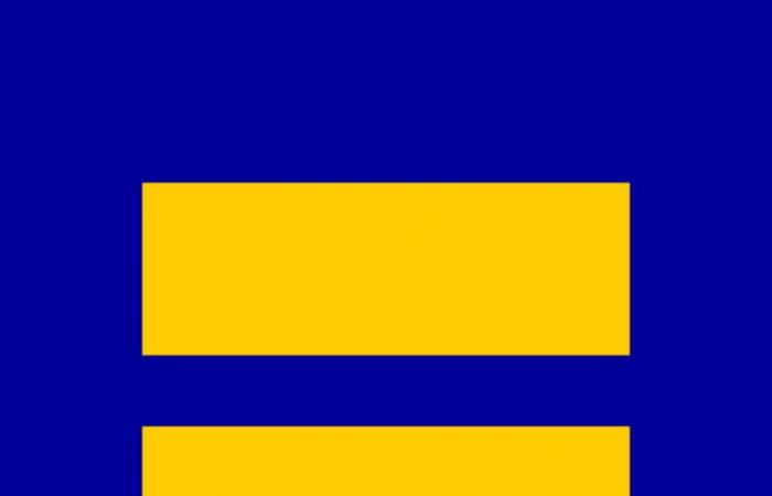 Pride Day : ce que signifie LGBTIQ+ et ce que symbolisent les différents drapeaux au sein de la communauté | BBCL avec vous