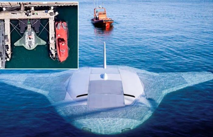 Un drone sous-marin, des images virales et une base en Californie : l’intrigante découverte sur Google Maps