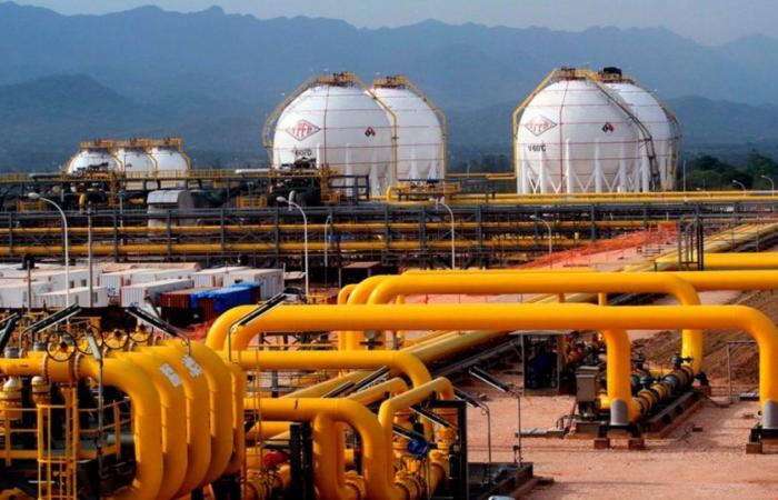 Gaz de Vaca Muerta vers le Brésil : octobre est la date limite pour définir si les gazoducs boliviens sont utilisés