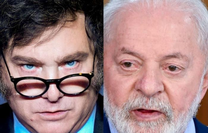 Milei a évoqué la demande d’excuses de Lula et l’a décrit comme un « petit gaucher » avec un « ego gonflé ».