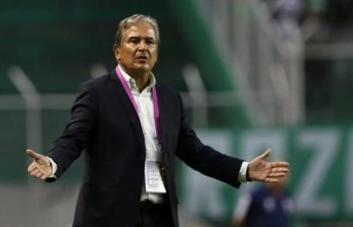 Jorge Luis Pinto a analysé le présent de l’équipe nationale colombienne : « La génération est brillante » | Copa América 2024