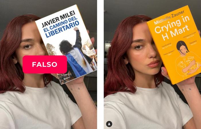 Il est faux que la chanteuse Dua Lipa ait publié une photo avec le livre de Javier Milei