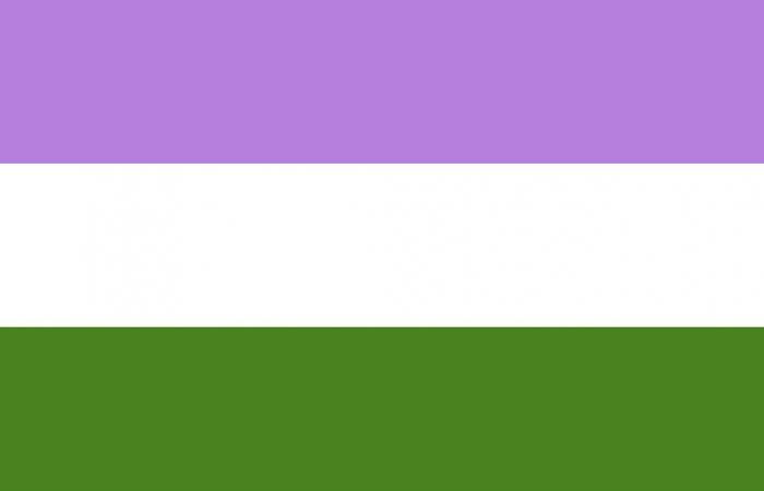 Que signifie LGBTIQ+ et que symbolisent les différents drapeaux au sein de la communauté ?