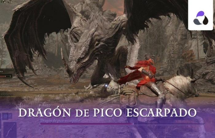 Comment vaincre le dragon à bec raide dans Elden Ring