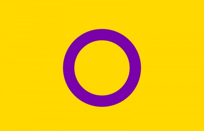 Pride Day : ce que signifie LGBTIQ+ et ce que symbolisent les différents drapeaux au sein de la communauté | BBCL avec vous