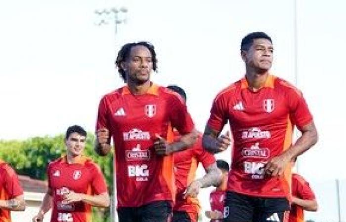 Scaloni étant suspendu, qui sera le sélectionneur de l’équipe nationale contre le Pérou ? :: Olé