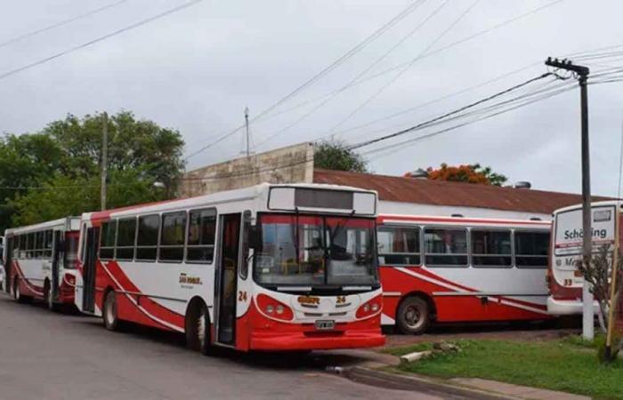 Chaco : en raison du manque de bus, la ville de Sáenz Peña permettrait le service de bus
