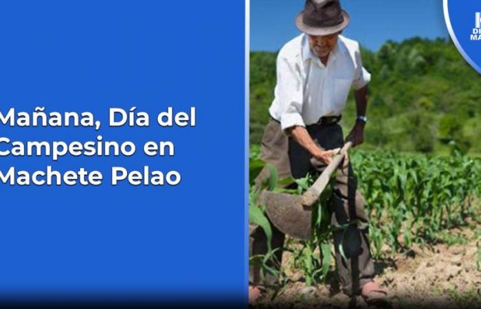 Demain, fête des agriculteurs à Machete Pelao