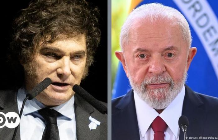 Javier Milei refuse de s’excuser auprès de Lula da Silva – DW – 29/06/2024