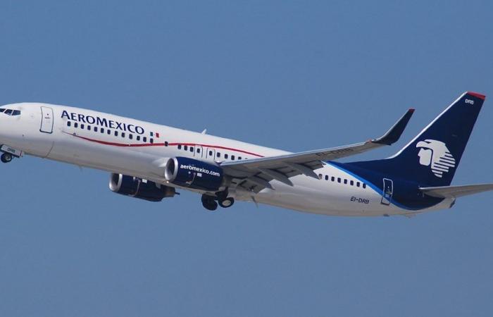 Aeroméxico suspend temporairement sa route internationale