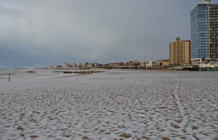 Week-end de neige et de mer : des chutes de neige sont prévues à Mar del Plata et sur la côte atlantique | Une alerte jaune est également en vigueur.