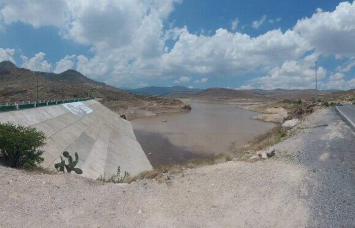 Les pluies ont « soulagé » la sécheresse, mais le SLP doit retenir la leçon : Félix Díaz – El Sol de San Luis