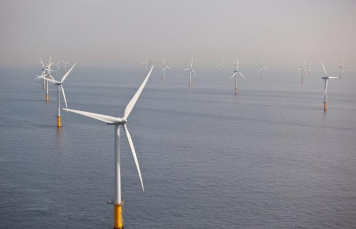 Le plus grand parc éolien offshore au monde sera agrandi pour alimenter jusqu’à 6 000 000 de foyers