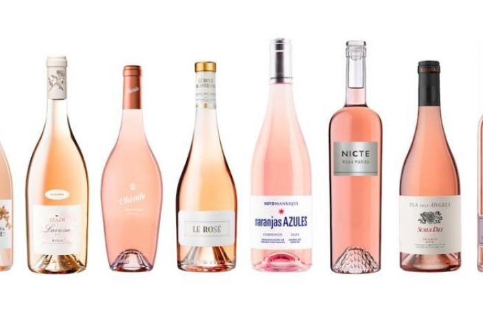 Dix excellents vins rosés au glamour provençal | Boire | Gastronomie