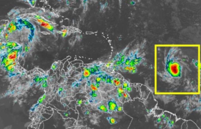 Alerte à l’arrivée de la tempête tropicale Beryl en Colombie ; pourrait devenir un ouragan et traverserait Antioquia et huit départements