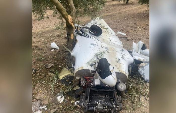 AVION DÉCÉDÉ | Deux personnes meurent dans un accident d’avion dans une oliveraie à Castro del Río