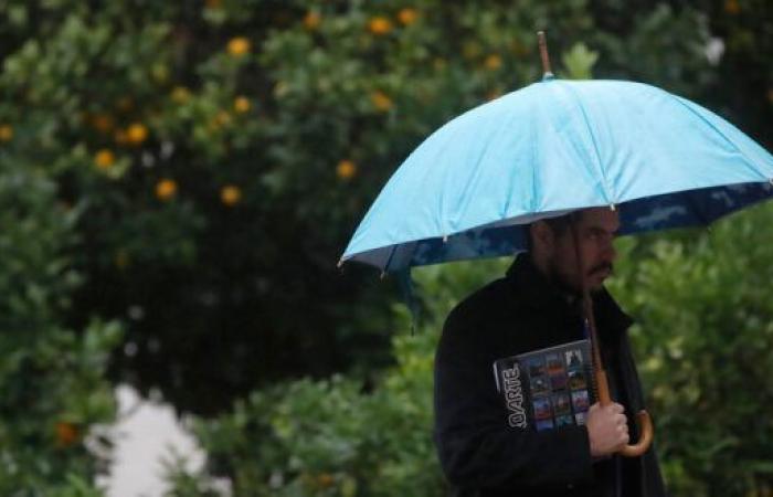 des pluies intenses font des centaines de victimes « Diario y Radio Universidad Chile