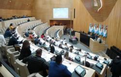 MAINTENANT | La séance du Parlement de Cordoue a été levée : l’opposition n’est pas descendue dans les locaux et il n’y avait pas de quorum pour débattre