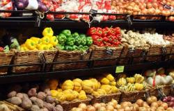 Prix ​​alimentaires : fruits et légumes moins chers en raison de conditions de croissance « superbes »